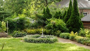 A garden with a variety of plants and trees, a small pond, and a brick building in the background. - Rollingside Guest Suite (Catonsville)