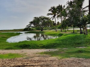 Área da propriedade