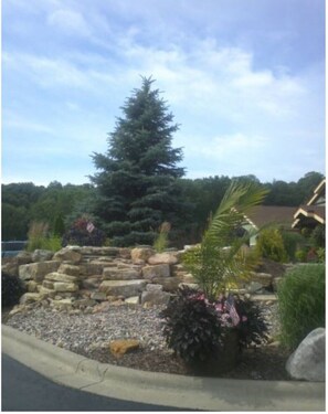 Stroll through the serene garden, surrounded by lush plants and a majestic coniferous tree.