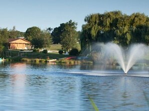 Alberca techada y alberca al aire libre