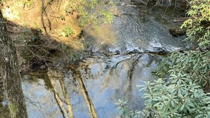 Une terrasse en bois, agrémentée de tuyaux métalliques, surplombe un ruisseau où l’eau s’écoule sur des rochers.