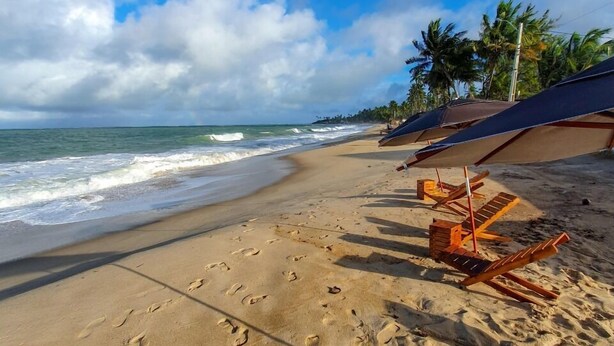 A beach with footprints, a row of sun loungers, and palm trees in the background. - Pousada Porto Maraca (Ipojuca)