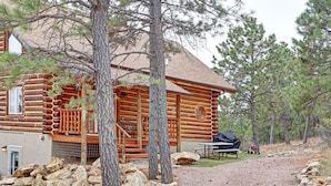 Eine Blockhütte mit Veranda, Picknicktisch und Grillplatz.