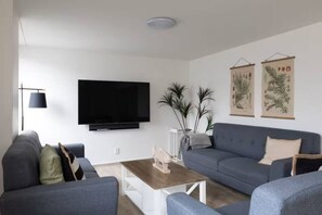 Tv, Netflix, streamingtjenester