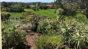 A garden with a variety of plants and a white fence.