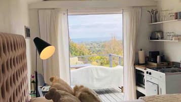 1 bedroom, iron/ironing board, travel crib, WiFi