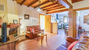 TV, fireplace, DVD player, ping pong