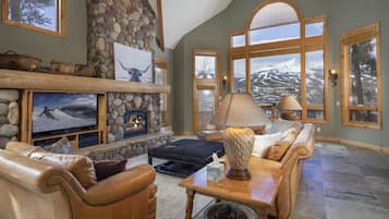 Televisor, llar de foc, reproductor de DVD i videoteca