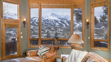 Televisor, llar de foc, reproductor de DVD i videoteca