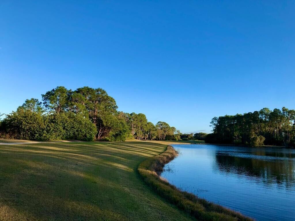 A serene lakeside view with a grassy area and trees.