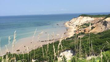 Plage à proximité, chaises longues, serviettes de plage