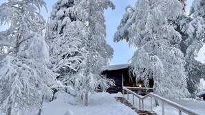 Una scala di legno coperta di neve che conduce a una baita con ringhiera in metallo, circondata da alberi carichi di neve.
