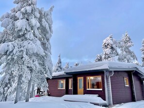 Una baita con esterno scuro, una porta d'ingresso e finestre. Alberi innevati circondano la baita.