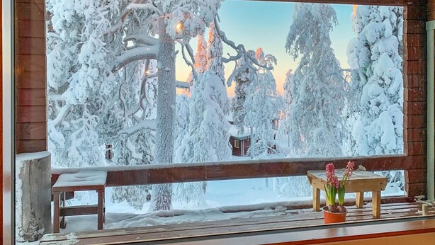 Una baita di legno con un'ampia finestra che si affaccia su una foresta innevata.