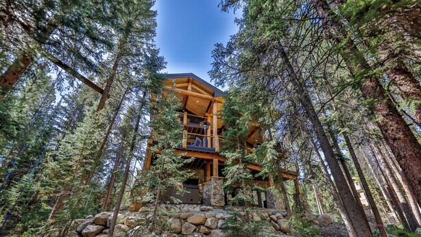 A log cabin with a stone foundation, surrounded by dense forest.