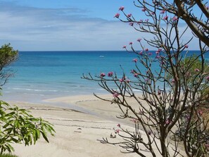 Une plage à l’eau d’un bleu limpide, bordée d’un rivage sablonneux et dotée d’une végétation clairsemée.