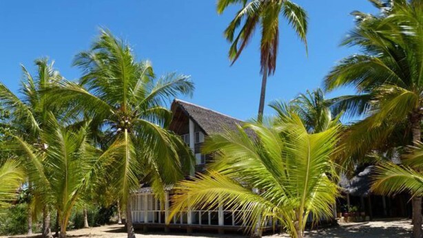 A beach house with a thatched roof, surrounded by palm trees and sandy ground.