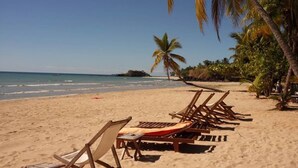 A beach with rows of wooden lounge chairs and a palm tree. - Nosy be, a Wonderful Location to Have a Relaxing Vacation (Nosy Be)