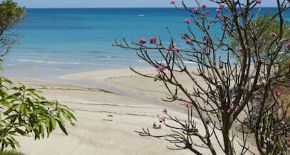 Have a Relaxing Vacation Right on the Beach Enjoying the Locations Amenities