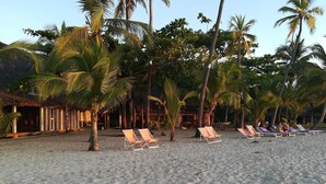 Ein Strand mit Liegestühlen und Palmen.
