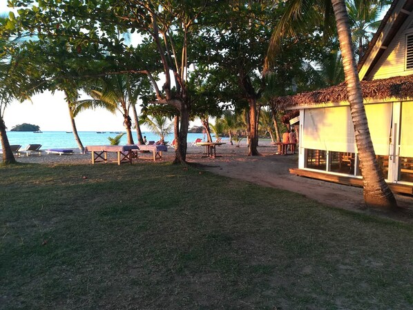 A beachside area with lounge chairs, a small building, and palm trees.