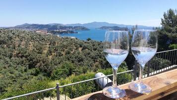 Apartment, 2 Bedrooms, Smoking, Private Pool | Balcony