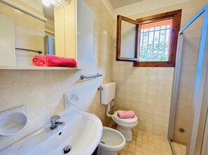 Une salle de bain équipée d’un lavabo, d’un miroir, de toilettes et d’un espace douche.