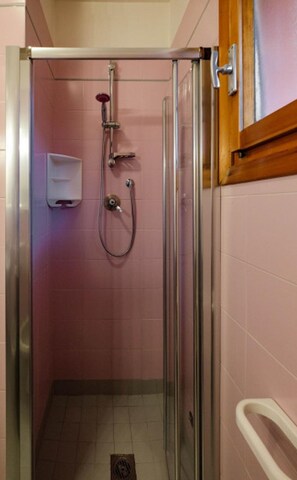 A small, enclosed shower area with a glass door, a handheld showerhead, and a wall-mounted faucet.