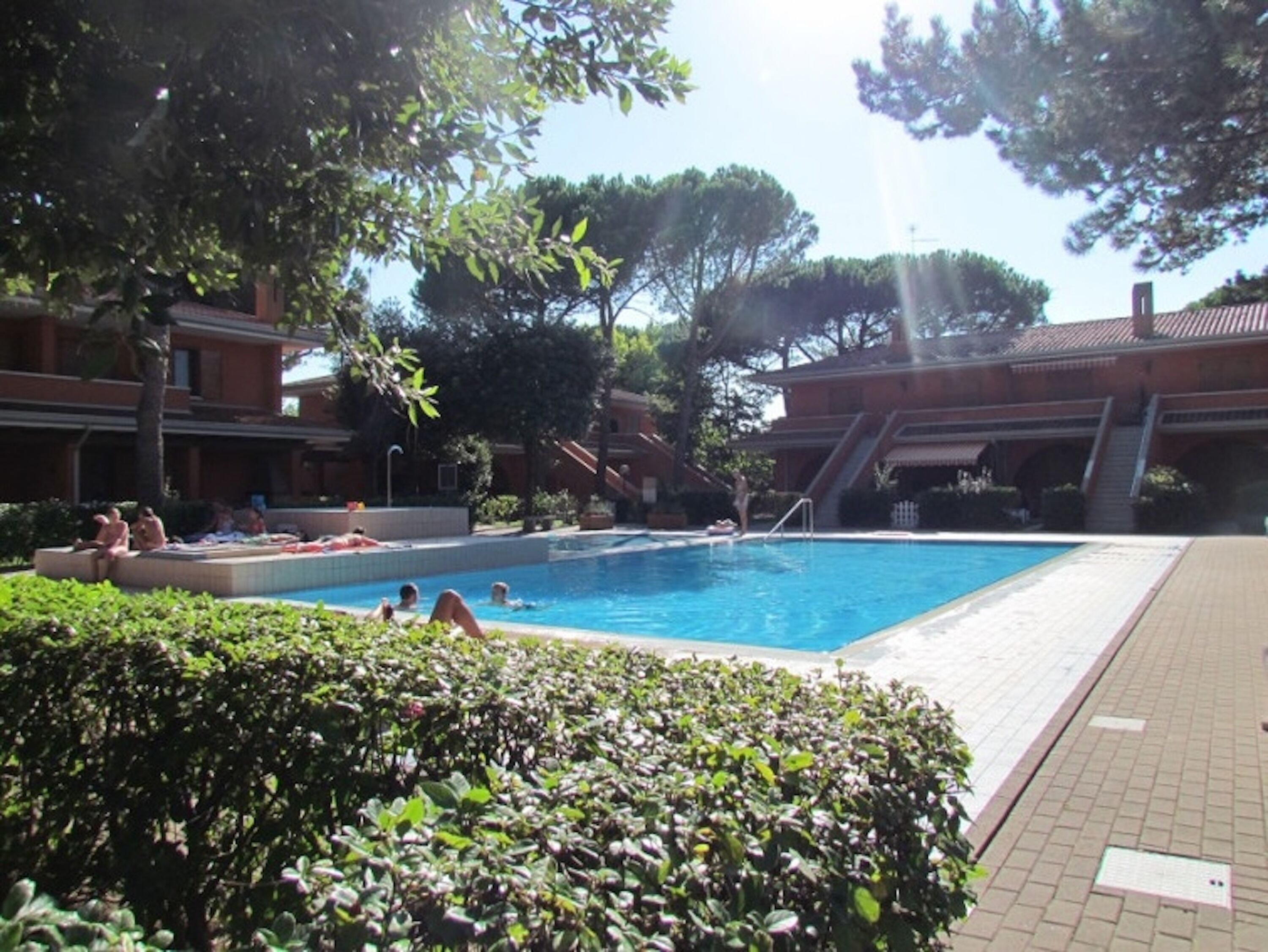 Una piscina circondata da vegetazione e edifici.