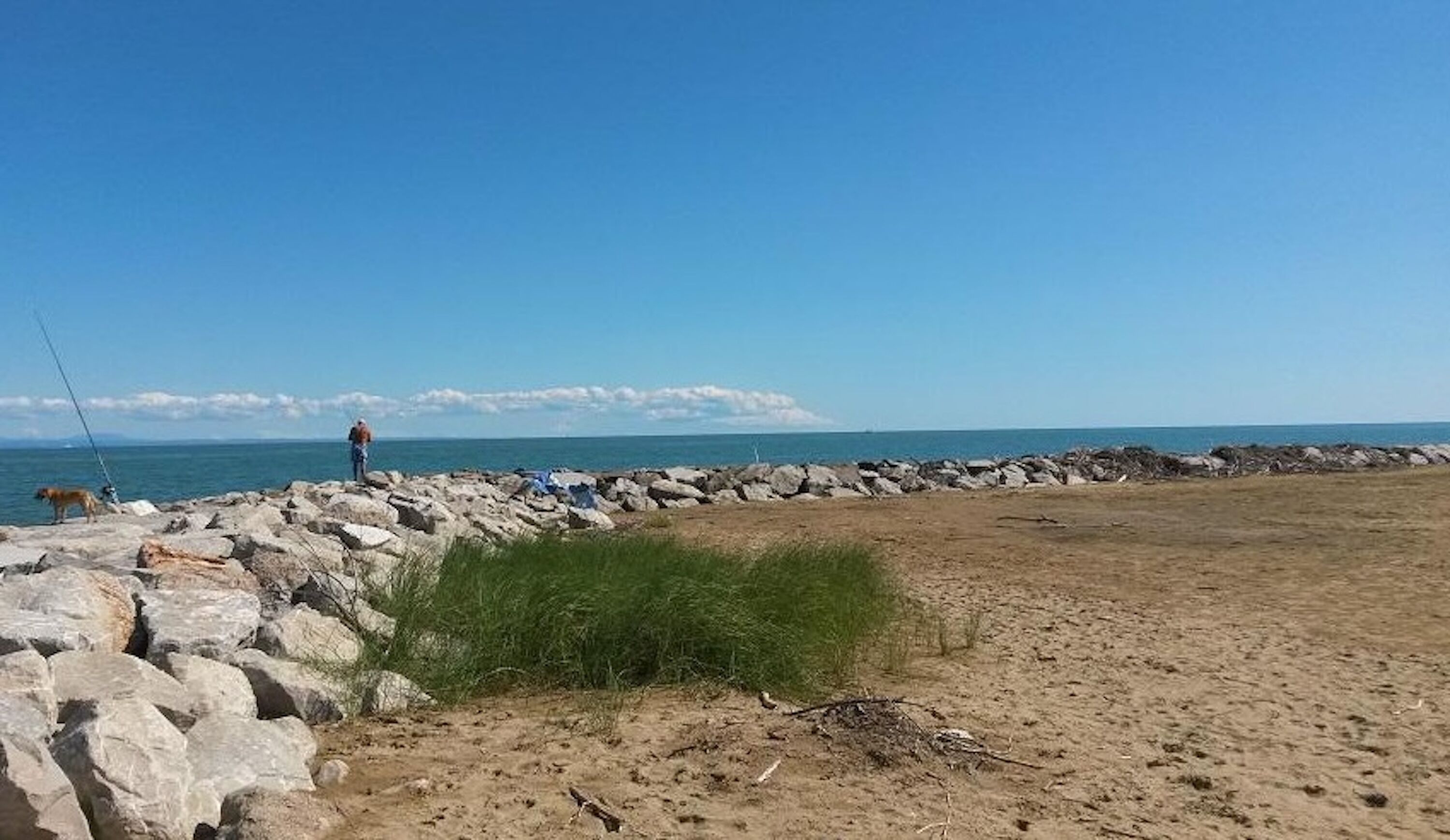 A rocky shoreline with a person fishing, a dog, and a clear blue sky.