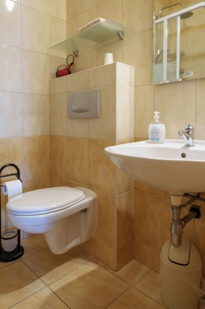 A bathroom with a toilet, sink, and mirror.