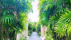 A pathway flanked by lush greenery and buildings. - Beautiful 1br Plunge Pool Villa Walk To Bangtao Beach (Choeng Thale)