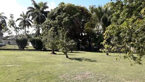 Golf - Rose View Apartment - Montego Bay (Montego Bay)