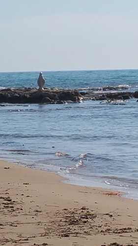 Sole Mare E Relax per Vacanze