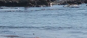 Sole Mare E Relax per Vacanze