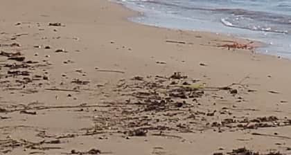 Sole Mare E Relax per Vacanze