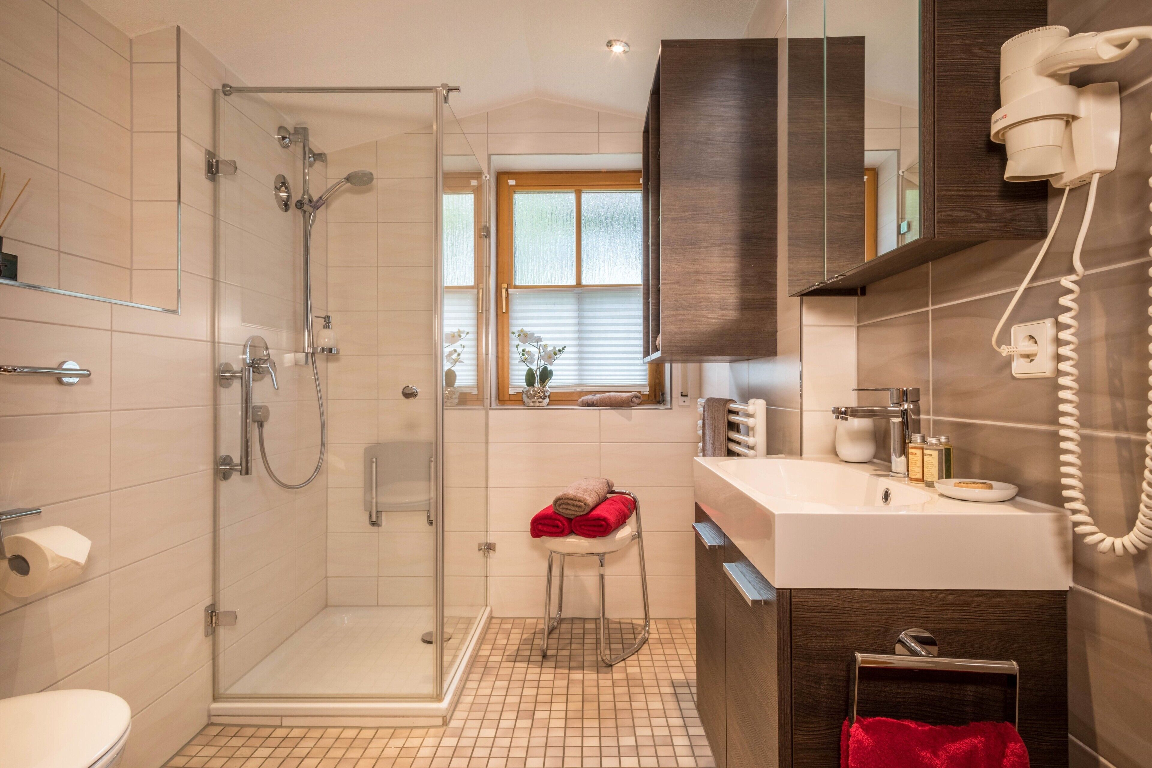 Shower, hair dryer, towels
