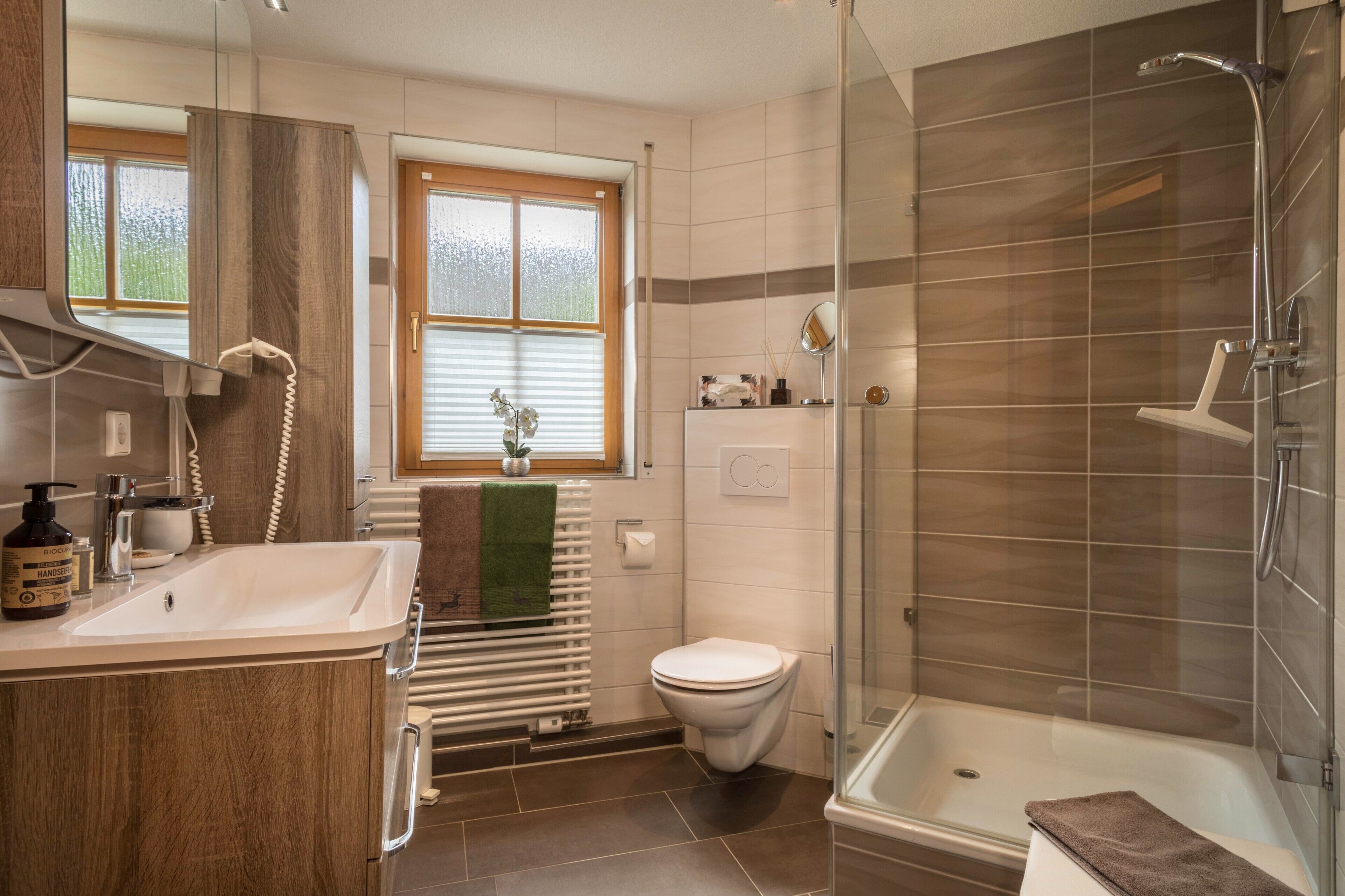 Dusche, Haartrockner, Handtücher