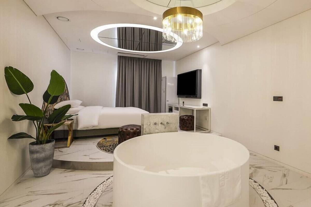 A modern hotel room with a bed, a television, a large bathtub, and a potted plant.