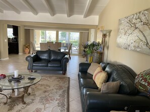 Smart TV, fireplace, video games, DVD player