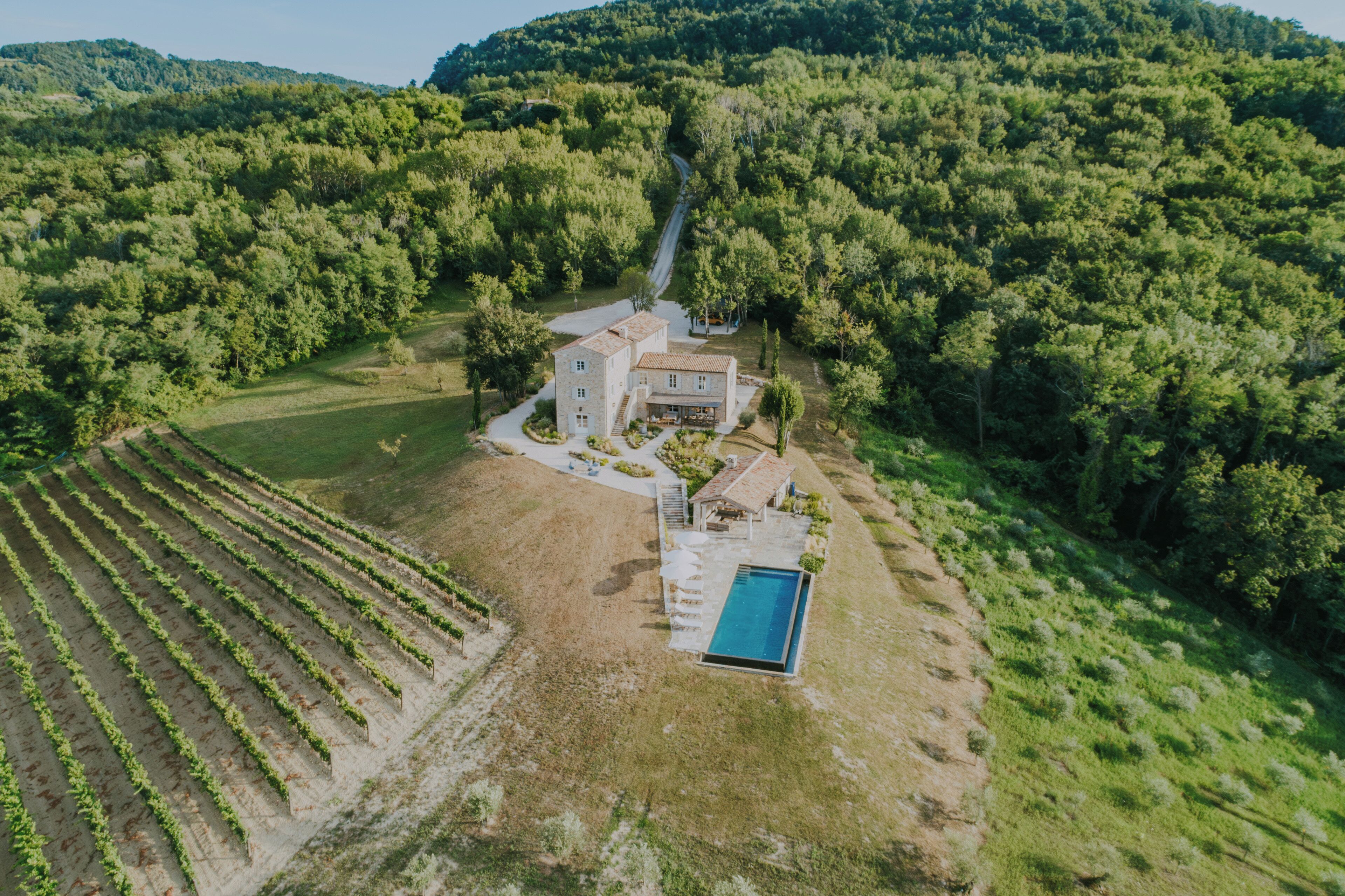 Vue aérienne d’une propriété comprenant une grande maison entourée d’un vignoble, d’une piscine et d’une colline boisée.