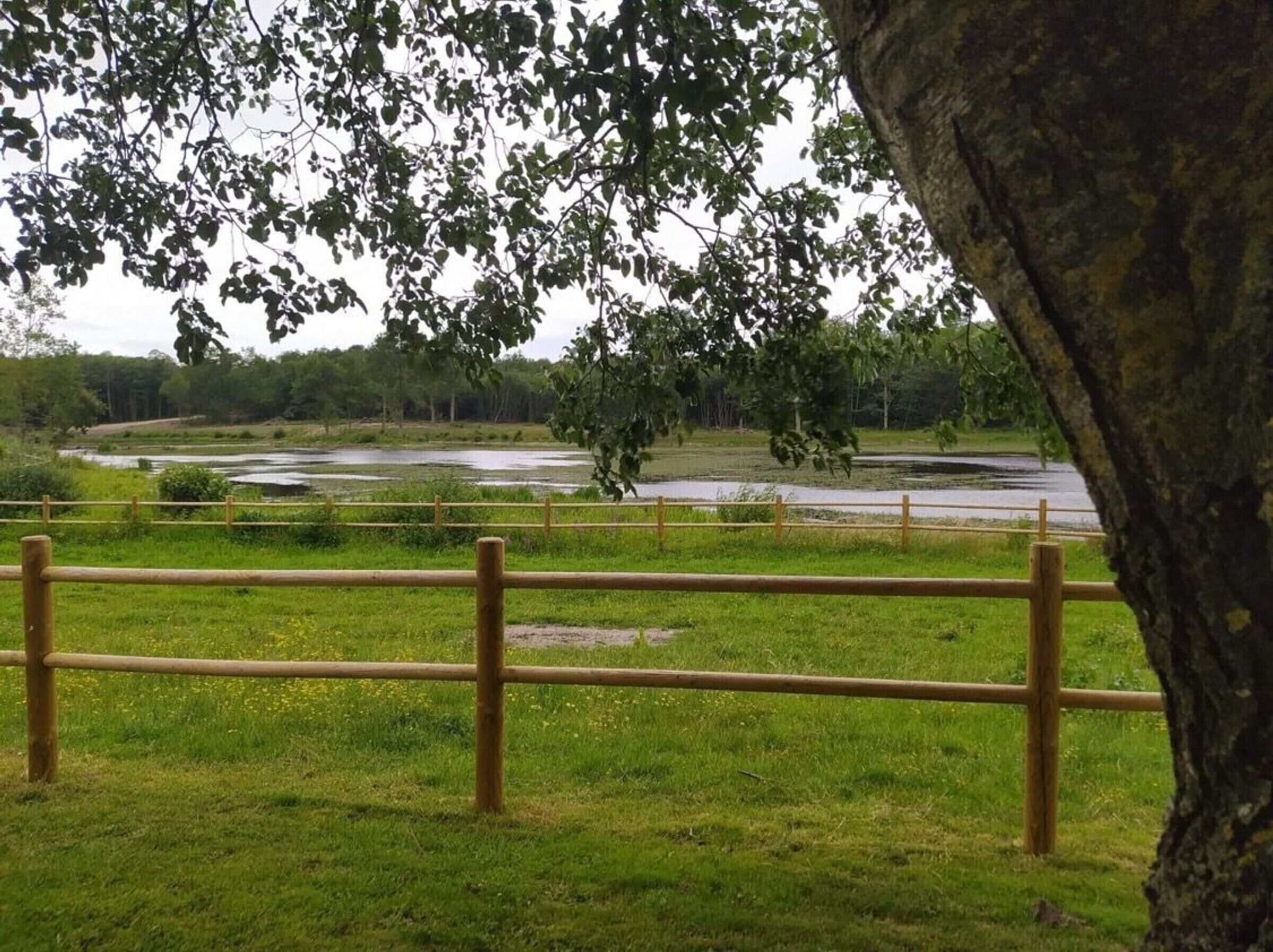 A fenced outdoor area with a pond and trees, likely a park or nature reserve.
