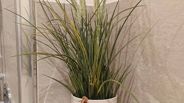 A bathroom with a shower area and a potted plant on the wall. - Gemütliche Ferienwohnung am Ortsrand (Kreuzwertheim)