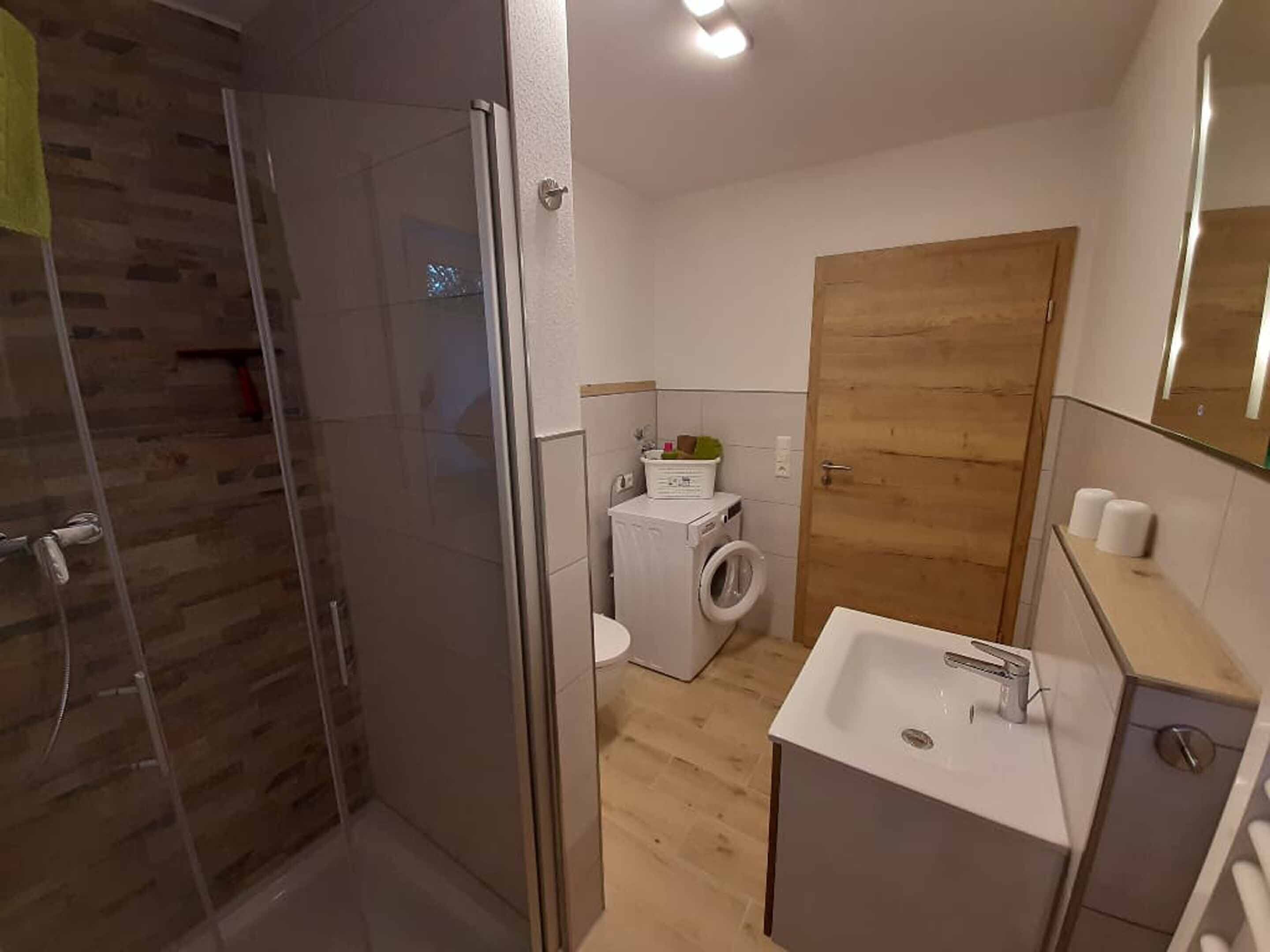 Apartment | Bathroom | Shower, hair dryer