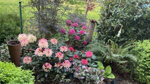 A garden with various flowering plants and a metal trash bin. - Ferienwohnung Bellissima (Ering)