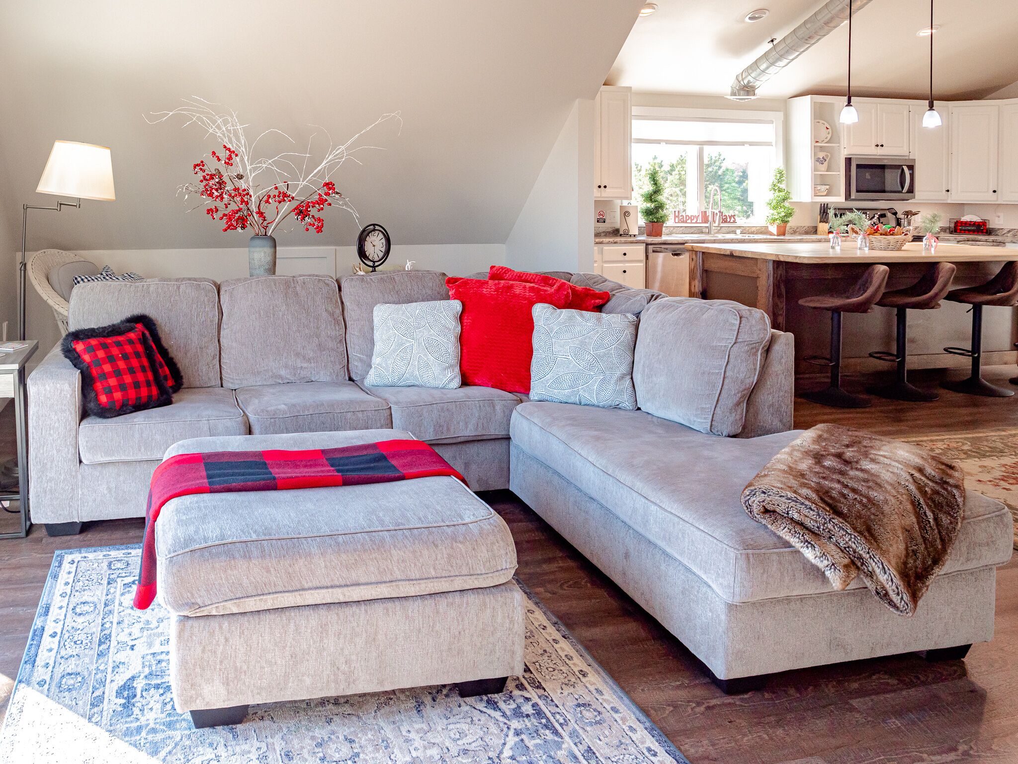 Télévision, lecteur de DVD, livres