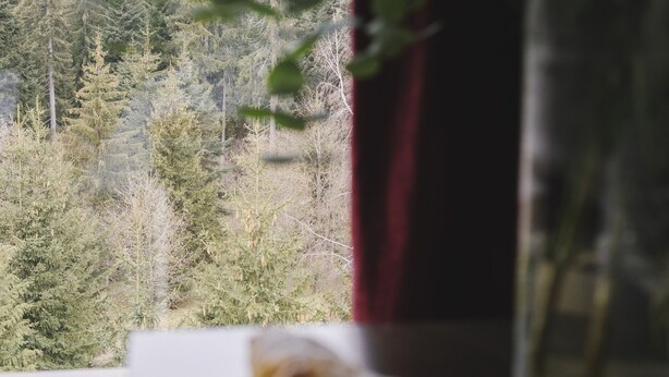 A window with a view of a forest, a plate with a pastry, and a vase with flowers. - Borovets Green Hotel (Samokov)