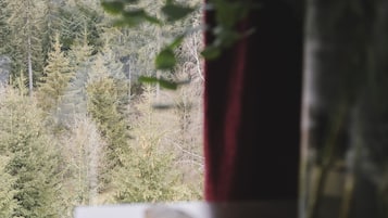 Family Apartment | Minibar, desk, laptop workspace