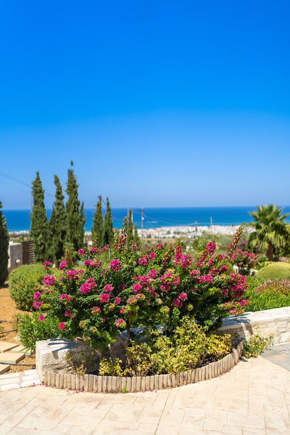Luxury Villa | View from room