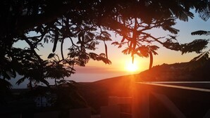 Un coucher de soleil avec les silhouettes d’arbres et un bâtiment au loin.